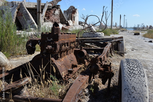 Cuadro en lienzo epecuen