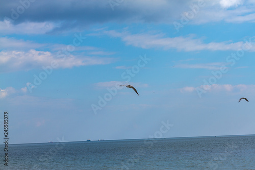 summer cloudy sky over the sea