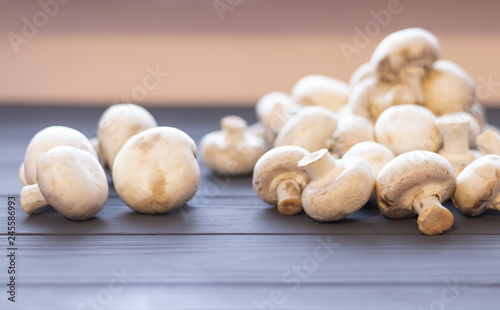 Many white mushrooms closeup