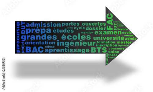 Nuage de mots : Orientation, études supérieures