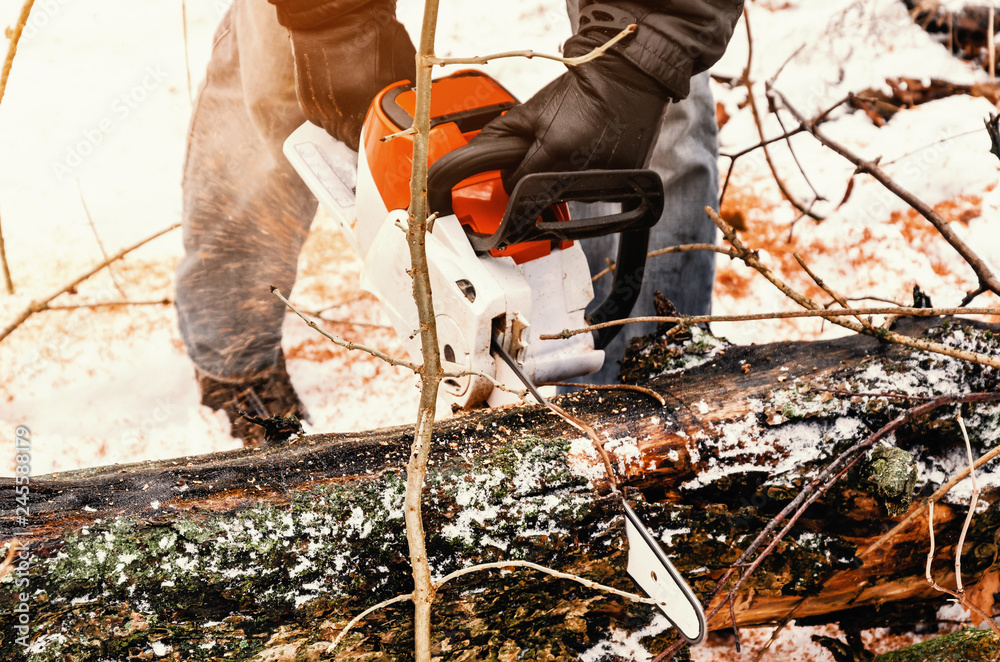 Male lumberjack cuts a log in the forest with a chain saw. Forest clearing, tree cutting, ecology. Earth Resources. Male lumberjack cuts a log in the forest with a chain saw. Forest clearing, tree cutting, ecology. Earth Resources.