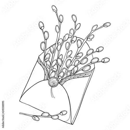 Vector bouquet with outline Willow twigs in open craft envelope in black isolated on white background. Branch with contour pussy Willow for greeting spring design and Easter coloring book.