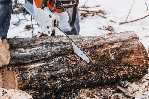 Male lumberjack cuts a log in the forest with a chain saw. Forest clearing  tree cutting  ecology. Earth Resources.