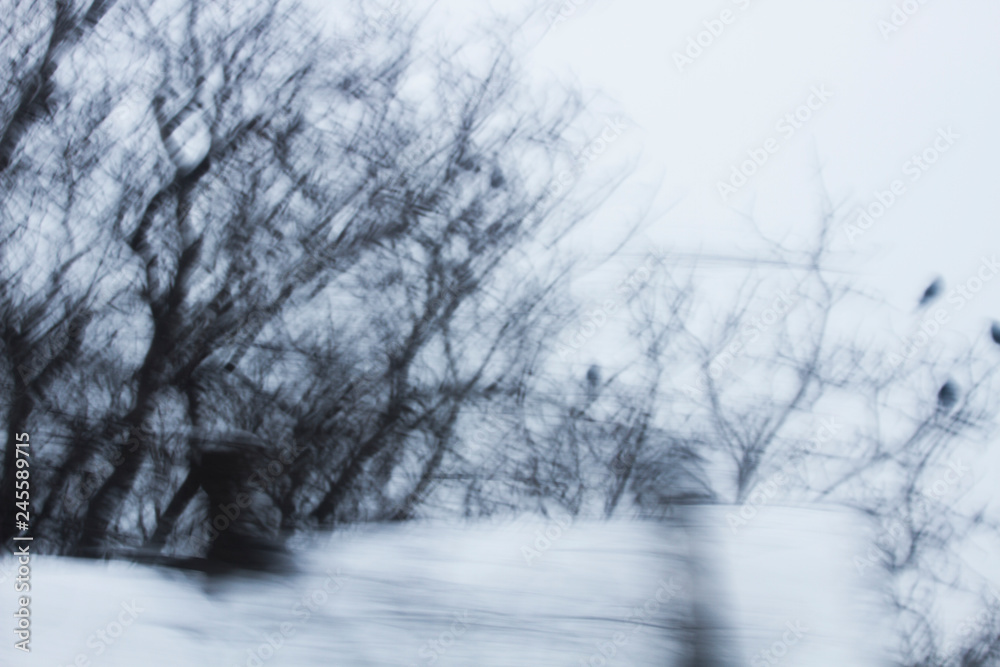  Blurred tree branches
