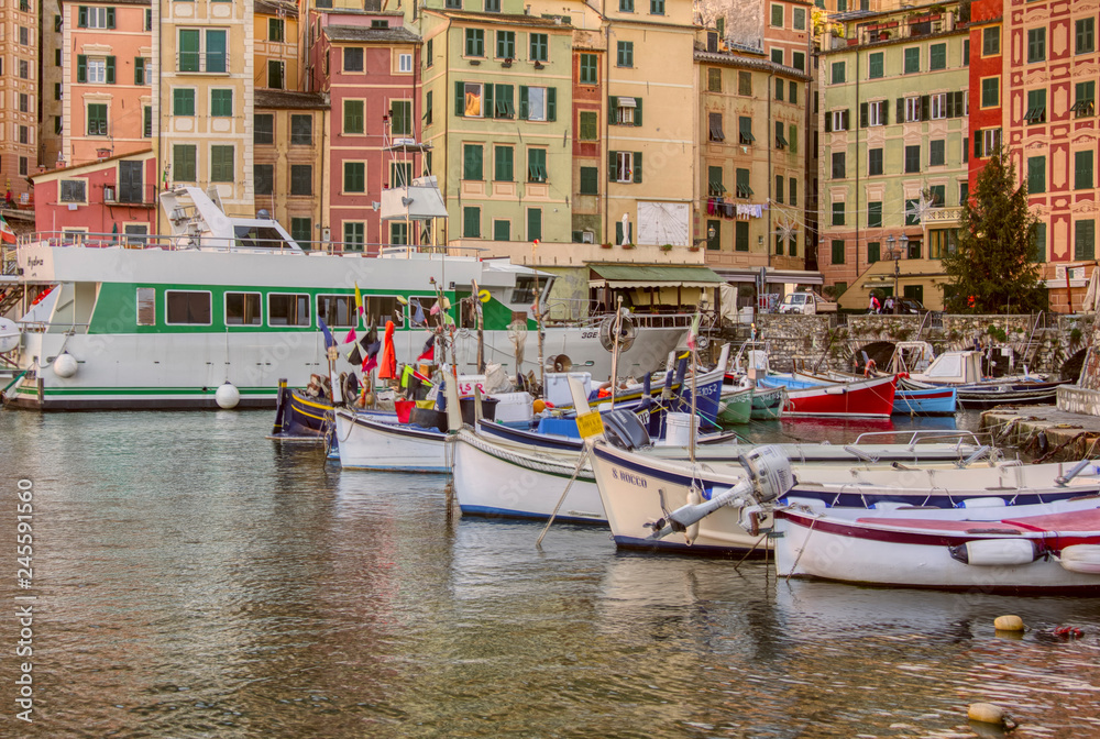 Small fishing boats and ferry in Camogli
