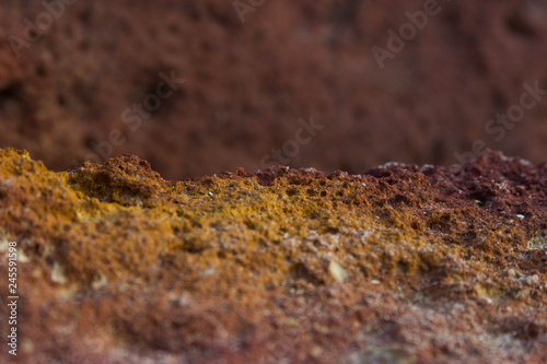 brown-yellow porous rock for text