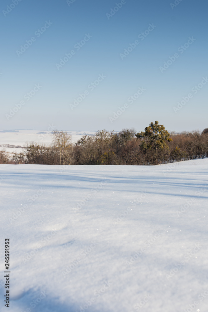 Outskirts of the village, winter landscape , snowy field and trees without snow