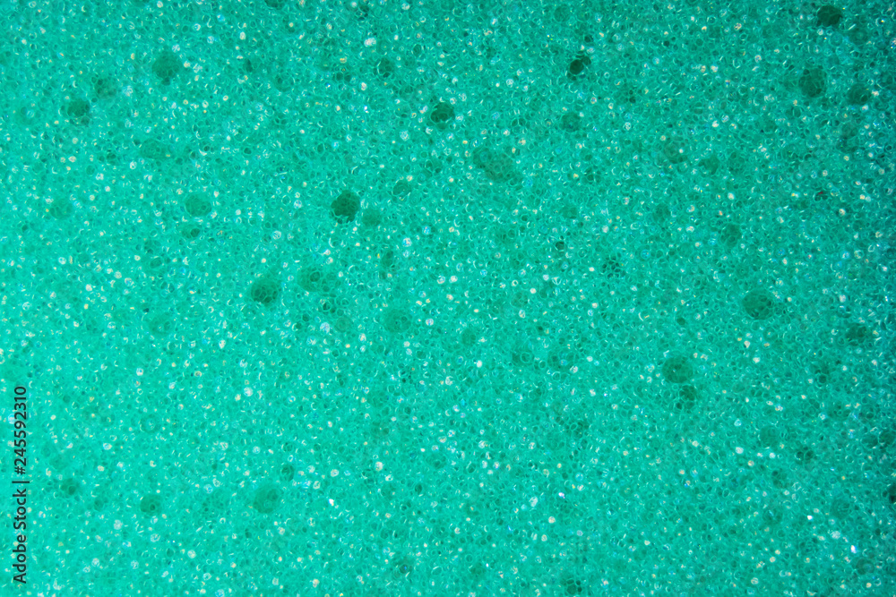 Obraz premium colorful dish sponges