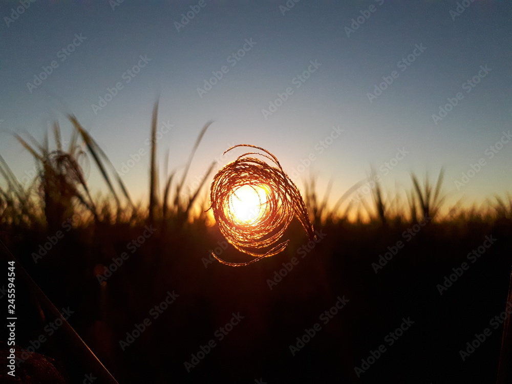 circle of fire