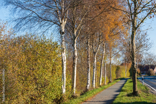 Flaches Land und gut ausgebaute Radwege laden an der ostfriesíschen Küste ein zum Radwandern © penofoto.de