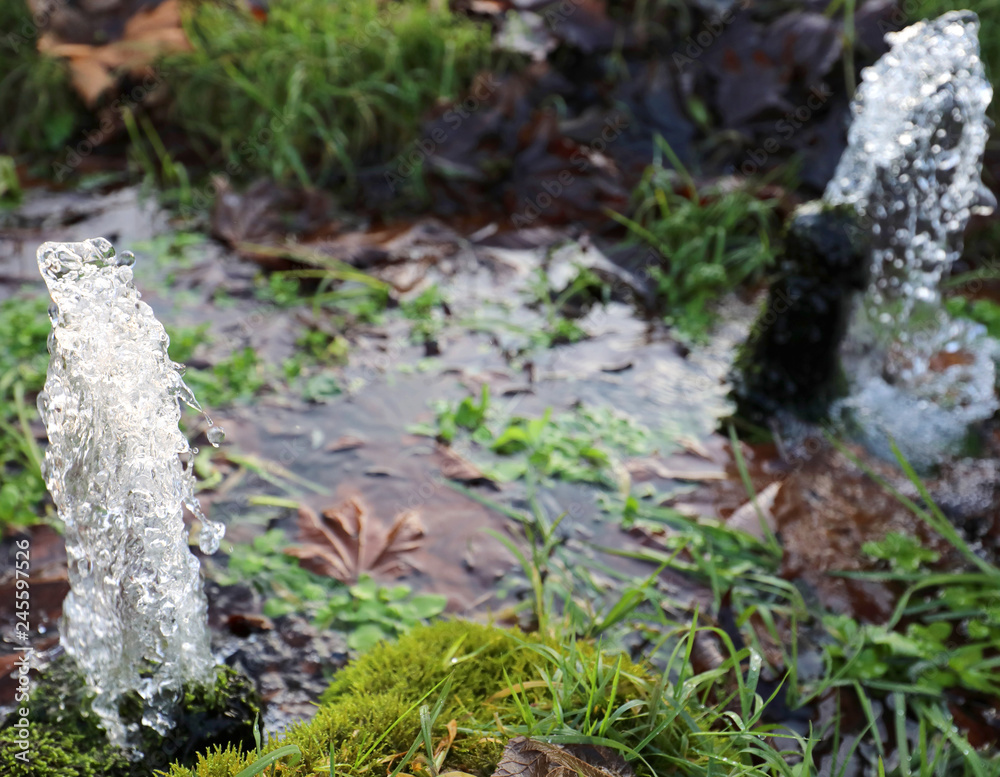 gushing water from a pristine resurgence gushing water from a pristine resurgence