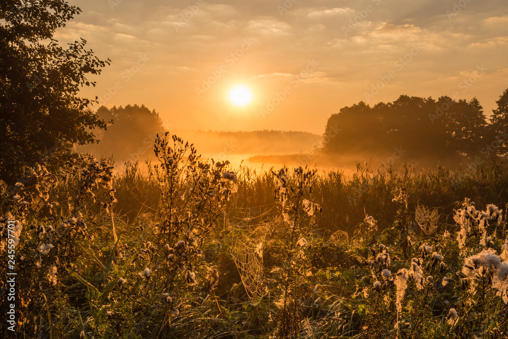 Obraz premium sunrise by the lake