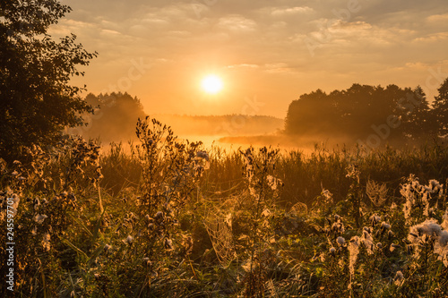 sunrise by the lake