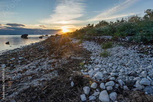 Evening sunlight on coast, pink clouds, blue sky reflection on water. Beach in summer. Seaside natural environment. Shore in Harilaid, small island in Estonia. Nature Reserve in North Europe photo