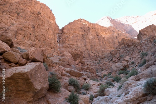 beautiful desert landscape of Todra Gorge in high atlas in morocco © luciezr