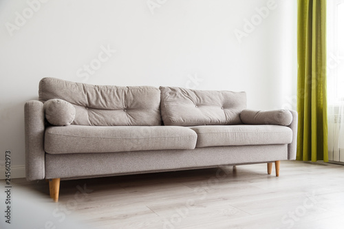Grey sofa in monochromatic living room © vladdeep
