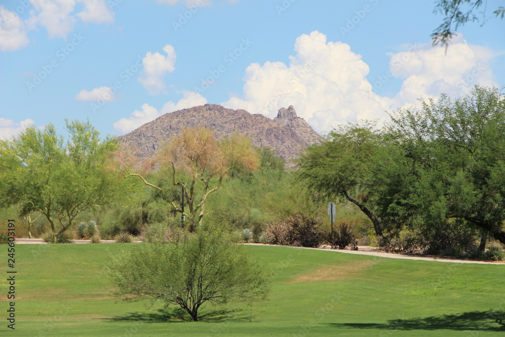 Sonoran Hills Park view of Troon Scottsdale Sonoran Hills Park view of Troon Scottsdale