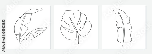 One line drawing vector monstera leaf and banana tree leaves. Modern single line art, aesthetic contour. Perfect for home decor such as posters, wall art, tote bag, t-shirt print, sticker, mobile case