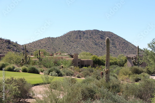 Southwest homes in North Scottsdale photo