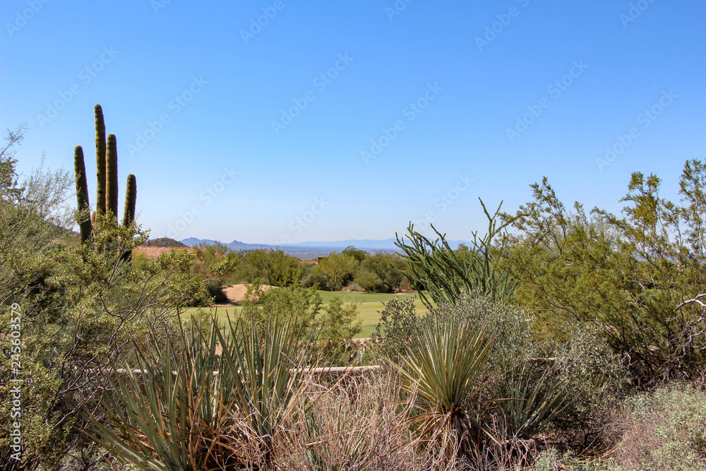 North Scottsdale homes near a golf course