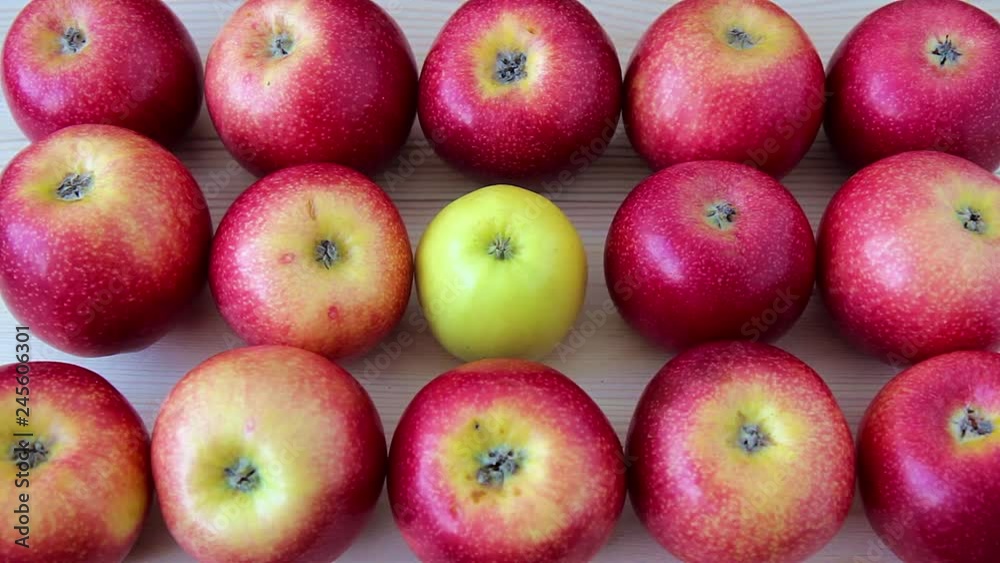 Lots of red apples and one yellow inside of them on a wooden background Lots of red apples and one yellow inside of them on a wooden background