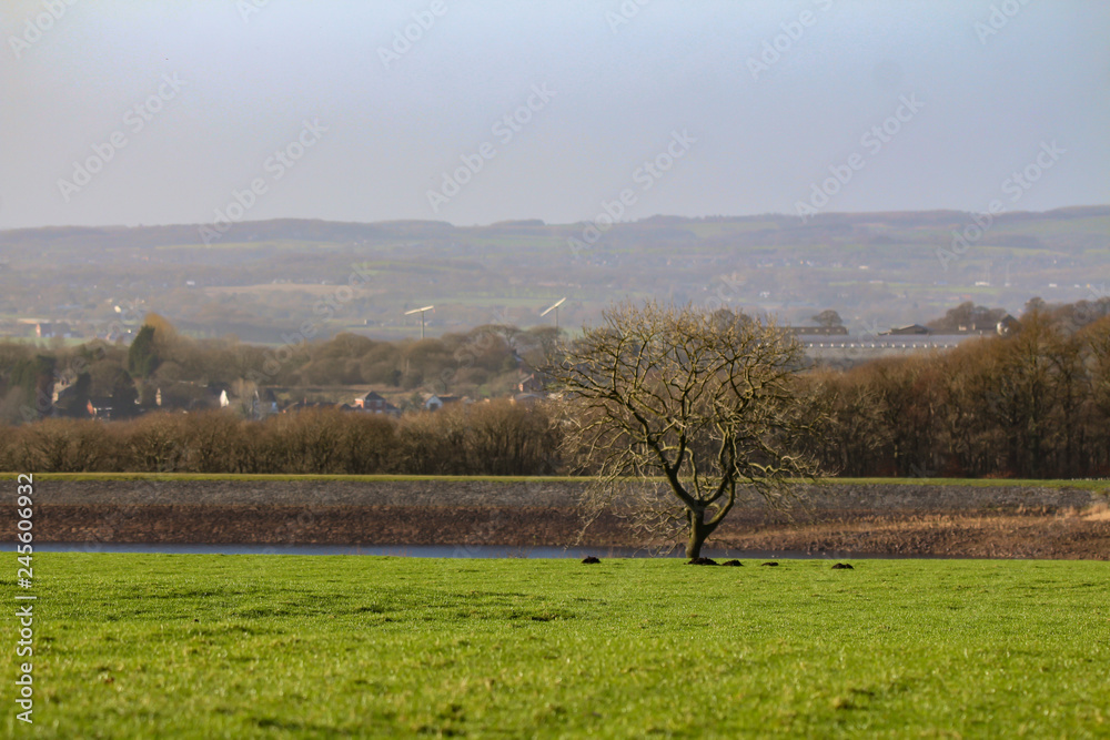 Fototapeta premium natural landscape