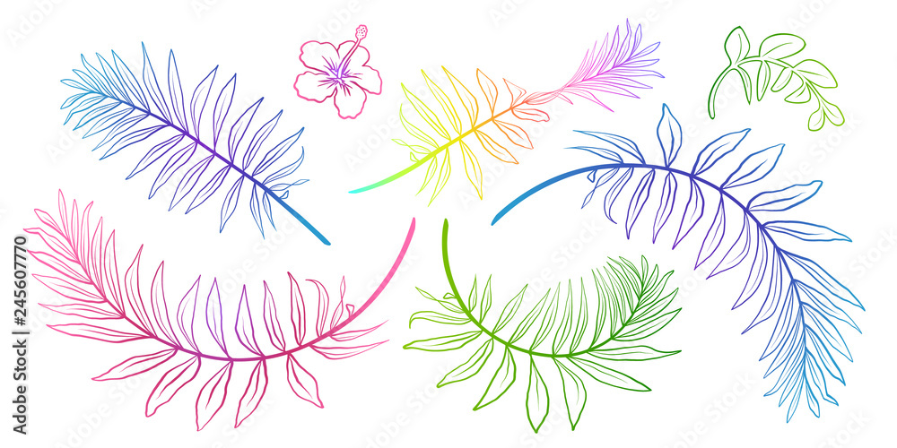 Colorful tropical leaves vector hand drawn line art silhouettes