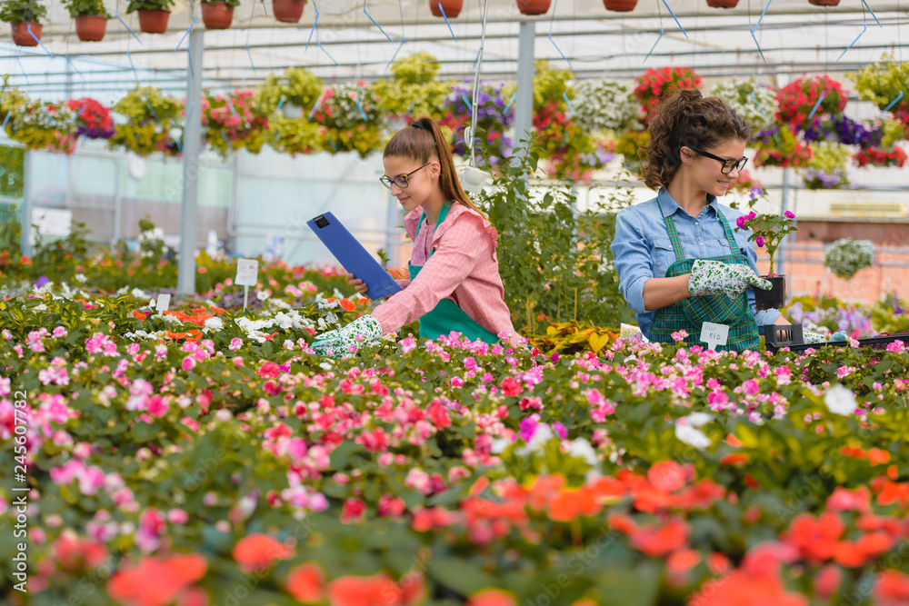 Women working in beautiful colorful flower garden