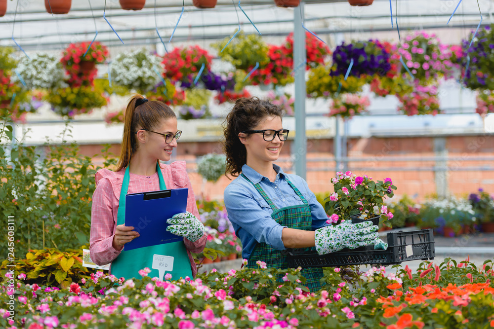 Young women working in beautiful colorful flower green house