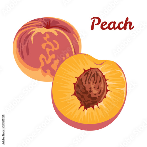 Vector peach isolated on white background. Illustration of fruit in flat style.