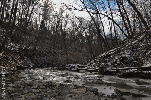 Frozen stream in forest in winter landscape
