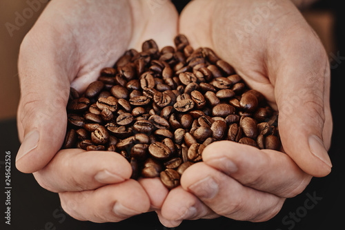 Hands holding coffee beans © Olesia