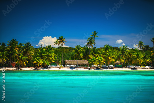Fototapeta Naklejka Na Ścianę i Meble -  Tropical beach in Punta Cana, Dominican Republic. Tropical island seascape.