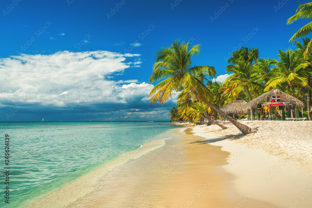 Palm trees on the tropical beach, Dominican Republic. Saona island. - obrazy, fototapety, plakaty 