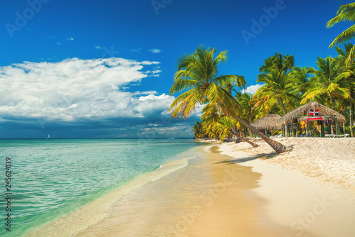 Fototapeta Naklejka Na Ścianę i Meble -  Palm trees on the tropical beach, Dominican Republic. Saona island.