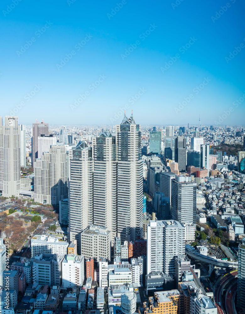 Obraz premium 東京風景