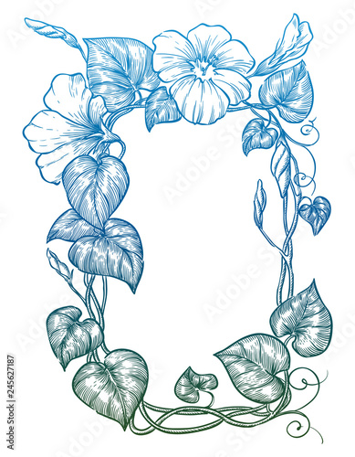 Elegant floral frame. Vector sketch