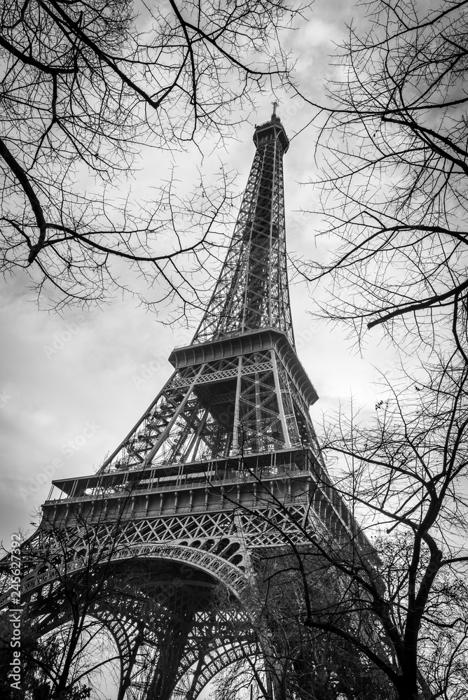 Black and white eiffel tower