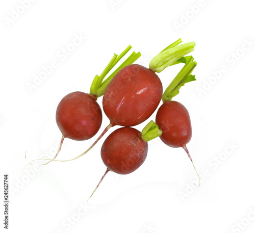 Red radish isolated on white background. photo