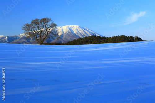 冬の岩手山と一本桜 © yspbqh14