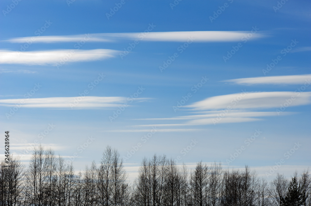 Blue sky with Altocumulus clouds. Trees in front. Blue sky with Altocumulus clouds. Trees in front.
