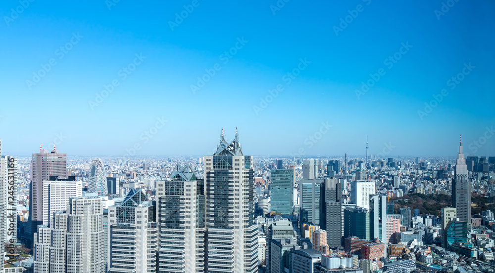 Fototapeta premium 東京風景