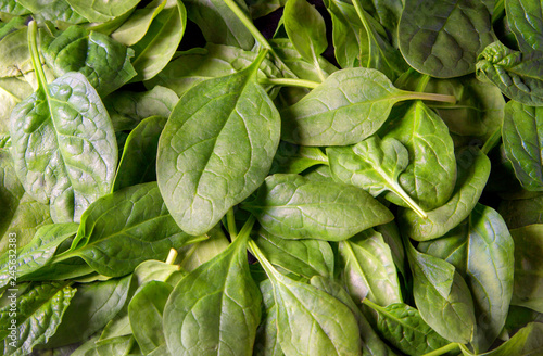 Fresh green baby spinach leaves as background close up