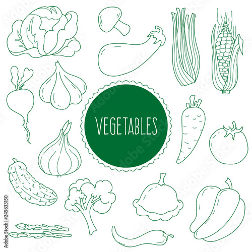 Set of elements on the theme of vegetables in the style of Doodle. Cabbage, beets, garlic, champignon, onion, carrot, tomato, corn, cucumber, pepper, asparagus, cauliflower. Vector