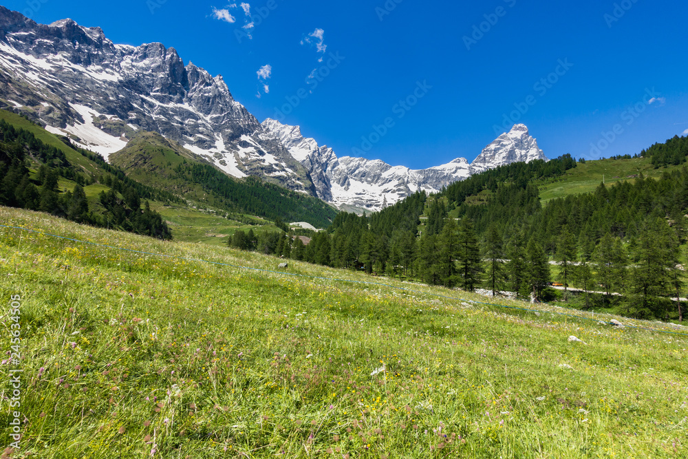 Summer alpine landscape with the Matterhorn (Cervino) on the background near Valtournenche, Aosta Valley, northern Italy