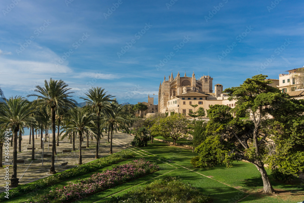 Catedral-Basilica de Santa Maria de Mallorca, Palma de Mallorca