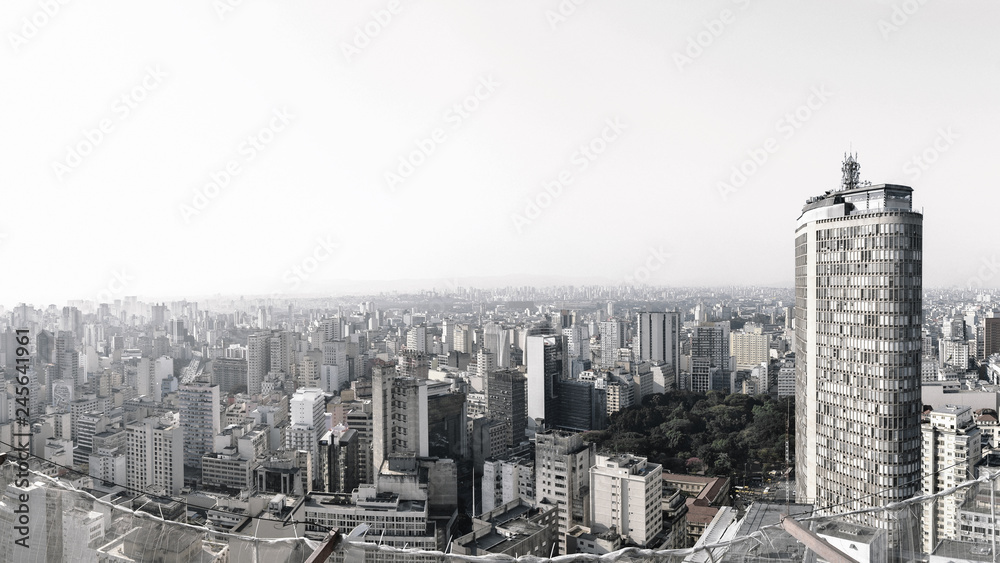 view of São Paulo city
