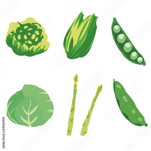 春野菜 緑黄色野菜 イラストセット1 Green Yellow Vegetables Set1 Stock Vector Adobe Stock