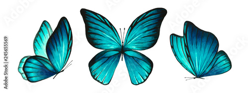 Three watercolor light blue bright butterflies