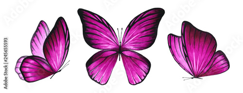 Three watercolor pink bright butterflies